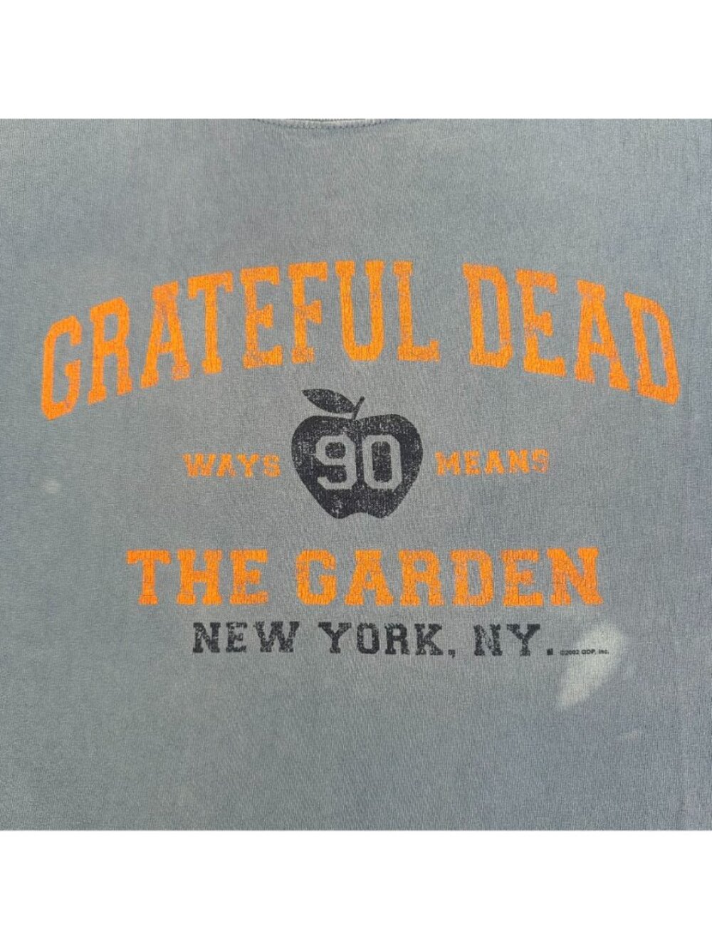 Vintage Y2K Grateful Dead The Garden NY T-Shirt Liquid Blue XL Sun Faded Hippie - Picture 3 of 5